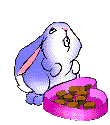 coniglio mangia cioccolatini.gif